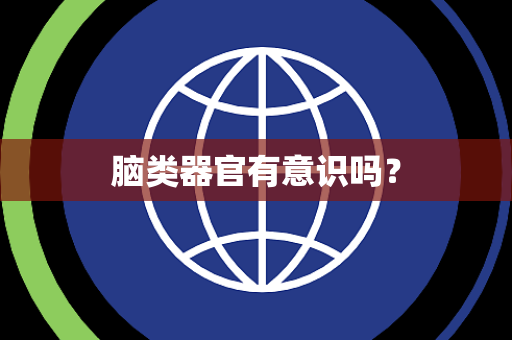 脑类器官有意识吗？