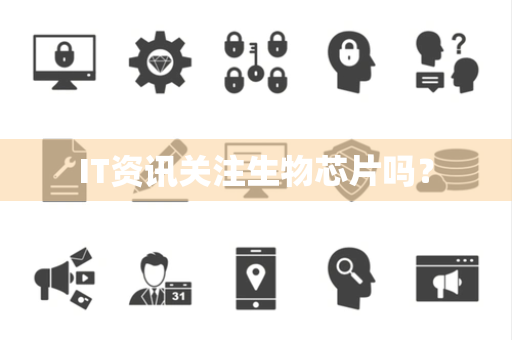 IT资讯关注生物芯片吗？