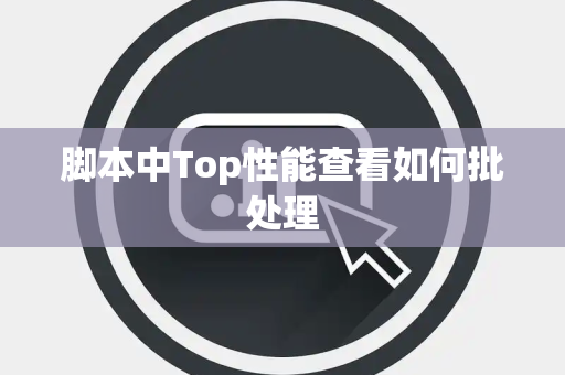 脚本中Top性能查看如何批处理