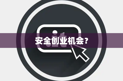 安全创业机会？