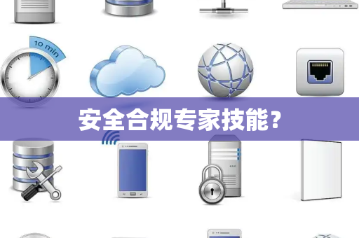 安全合规专家技能？