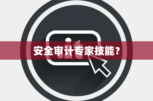 安全审计专家技能？