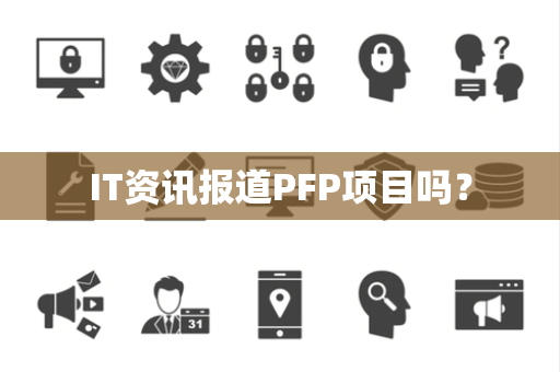 IT资讯报道PFP项目吗？