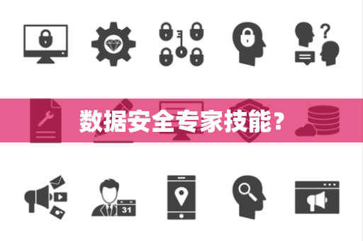 数据安全专家技能？