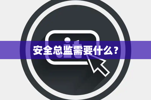 安全总监需要什么？