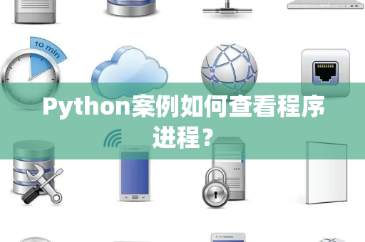 Python案例如何查看程序进程？