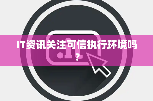 IT资讯关注可信执行环境吗？
