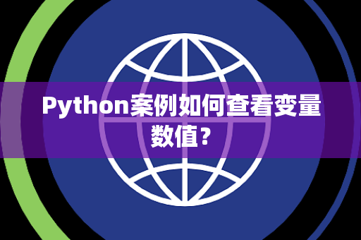 Python案例如何查看变量数值? Python案例如何查看变量数值?