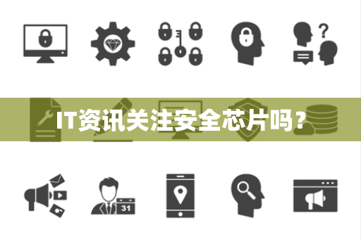 IT资讯关注安全芯片吗？