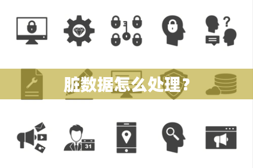 脏数据怎么处理？