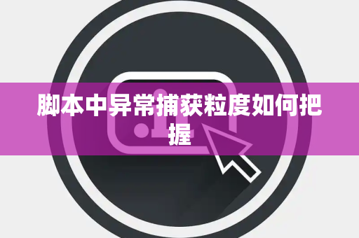 脚本中异常捕获粒度如何把握