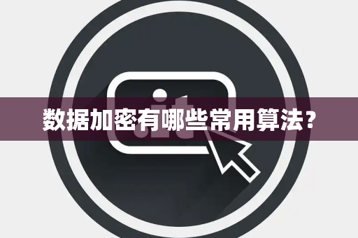 数据加密有哪些常用算法？