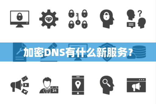 加密DNS有什么新服务？
