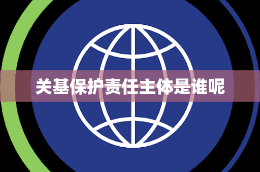 关基保护责任主体是谁呢
