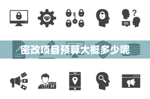 密改项目预算大概多少呢