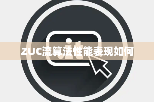 ZUC流算法性能表现如何