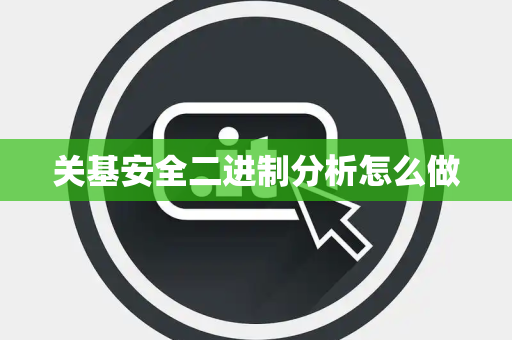 关基安全二进制分析怎么做