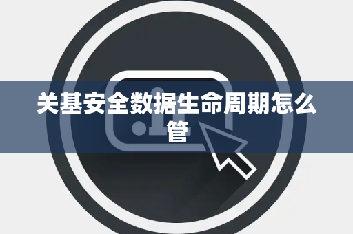 关基安全数据生命周期怎么管