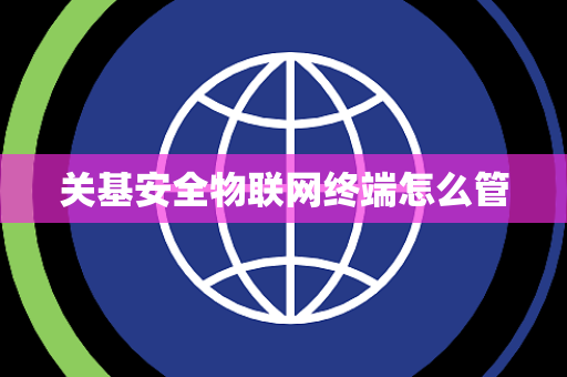 关基安全物联网终端怎么管