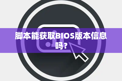 脚本能获取BIOS版本信息吗？