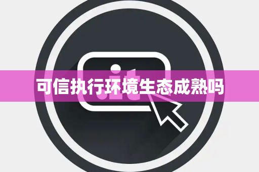 可信执行环境生态成熟吗