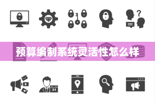 预算编制系统灵活性怎么样