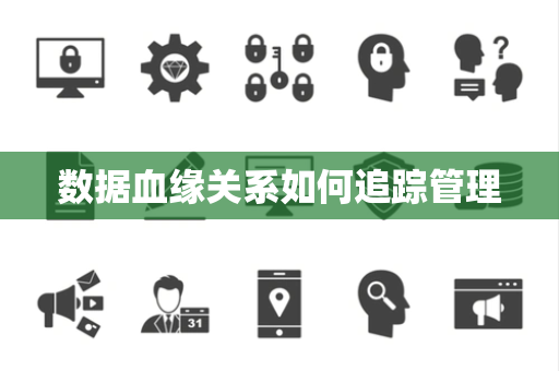数据血缘关系如何追踪管理