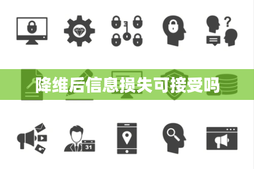 降维后信息损失可接受吗