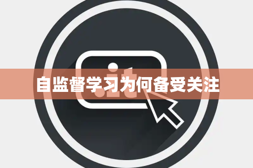 自监督学习为何备受关注