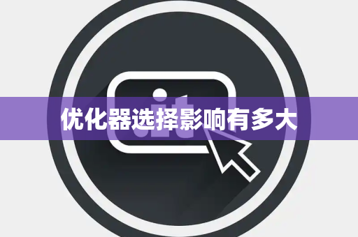 优化器选择影响有多大