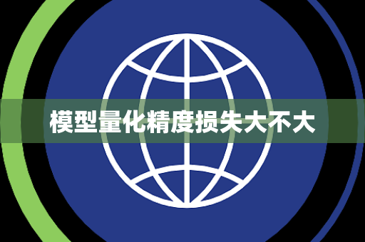 模型量化精度损失大不大