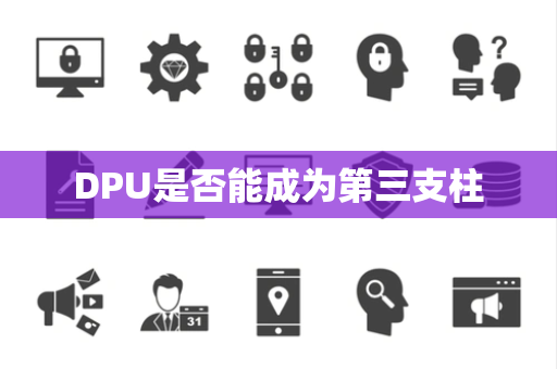 DPU是否能成为第三支柱