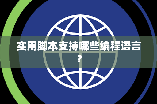 实用脚本支持哪些编程语言？