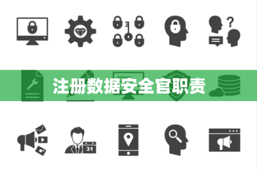 注册数据安全官职责