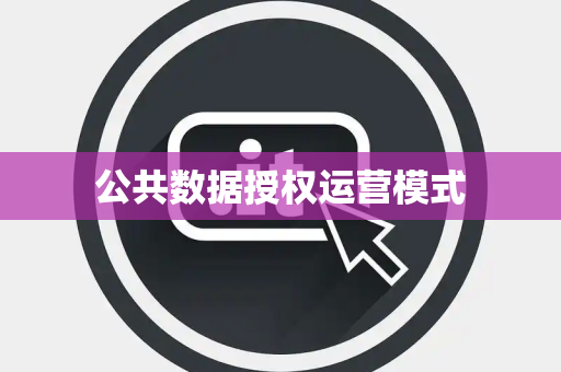 公共数据授权运营模式