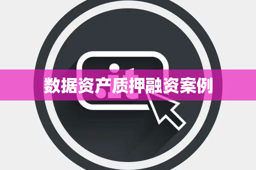 数据资产质押融资案例