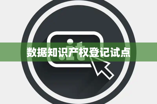 数据知识产权登记试点