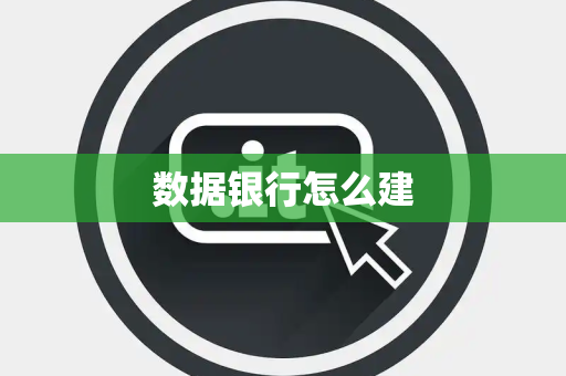 数据银行怎么建
