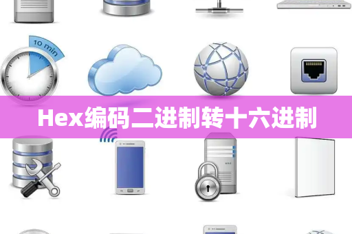 Hex编码二进制转十六进制