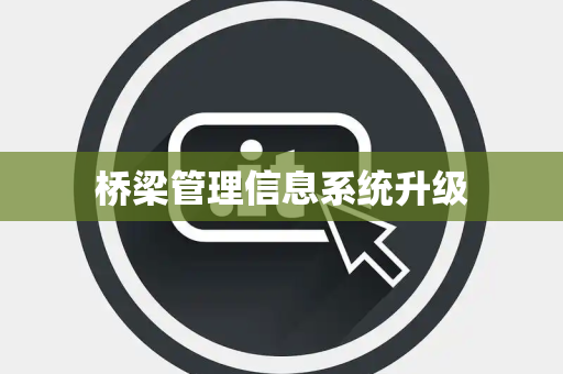 桥梁管理信息系统升级