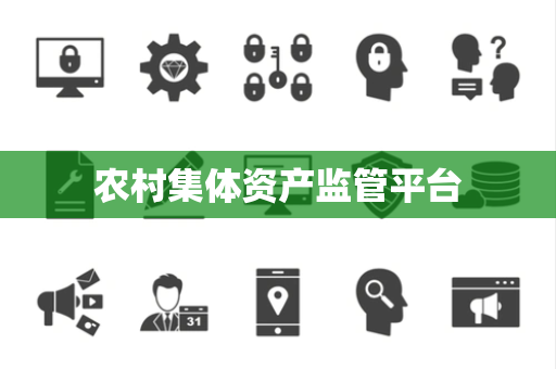 农村集体资产监管平台