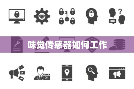 味觉传感器如何工作