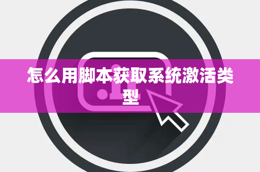 怎么用脚本获取系统激活类型