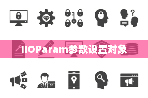 IIOParam参数设置对象