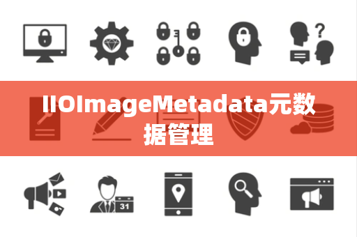 IIOImageMetadata元数据管理