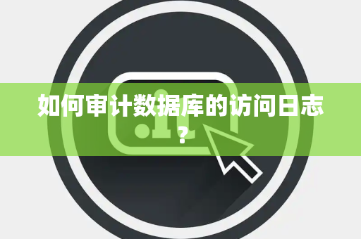如何审计数据库的访问日志？
