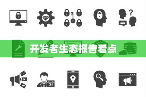 开发者生态报告看点