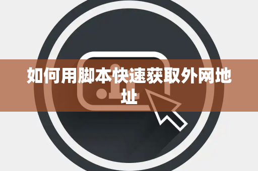 如何用脚本快速获取外网地址