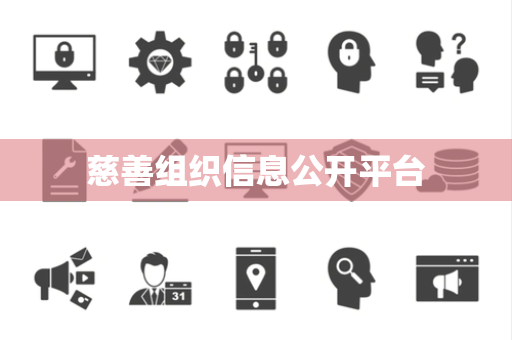 慈善组织信息公开平台