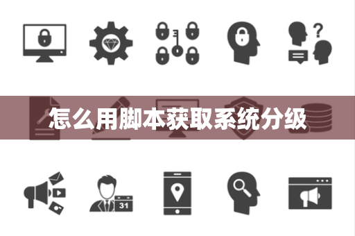 怎么用脚本获取系统分级